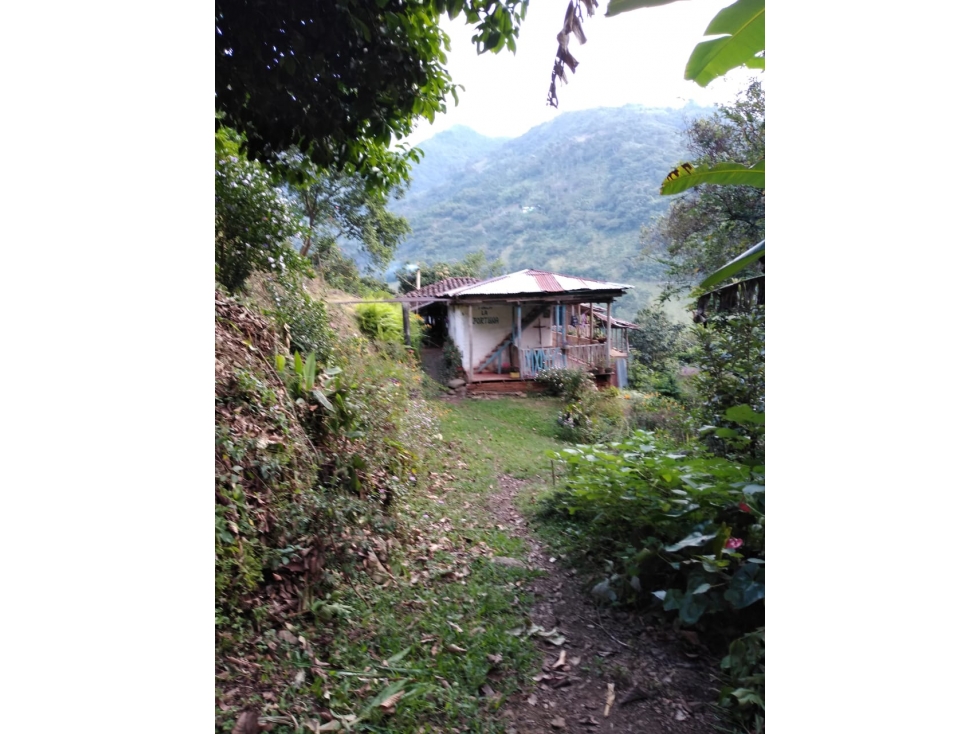 Se vende finca en Génova Quindío