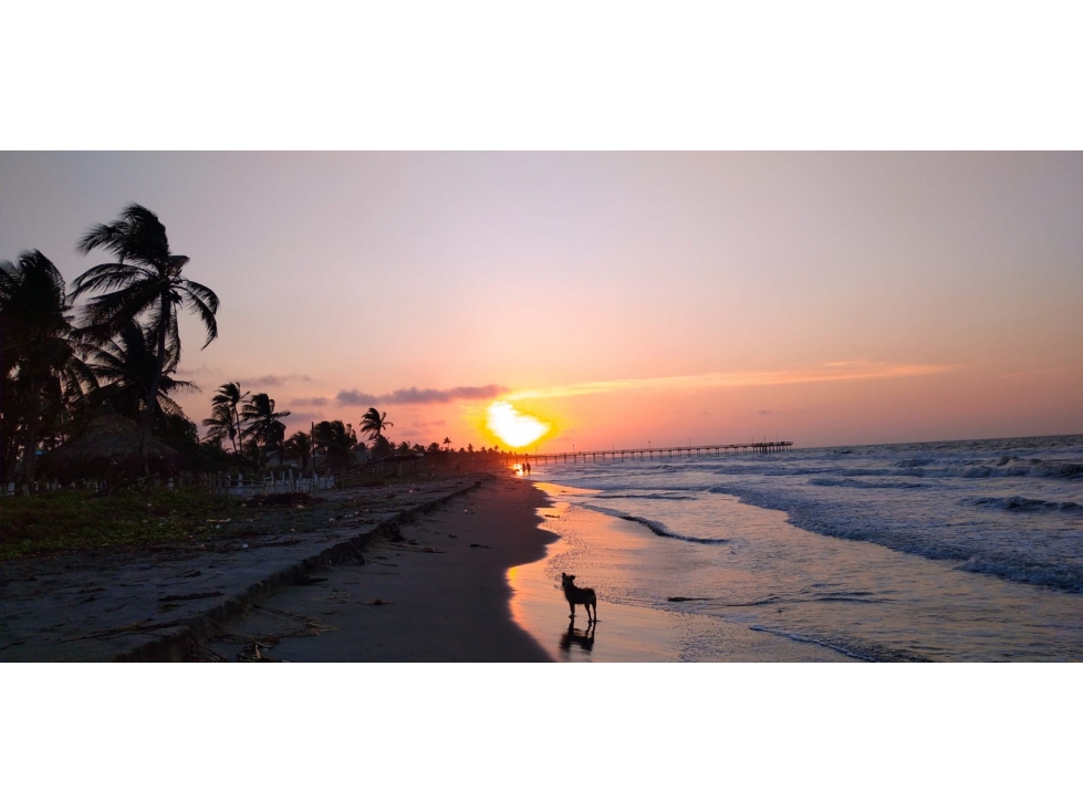 VENDO CABAÑA EN SAN BERNARDO DEL VIENTO CORDOBA COLOMBIA