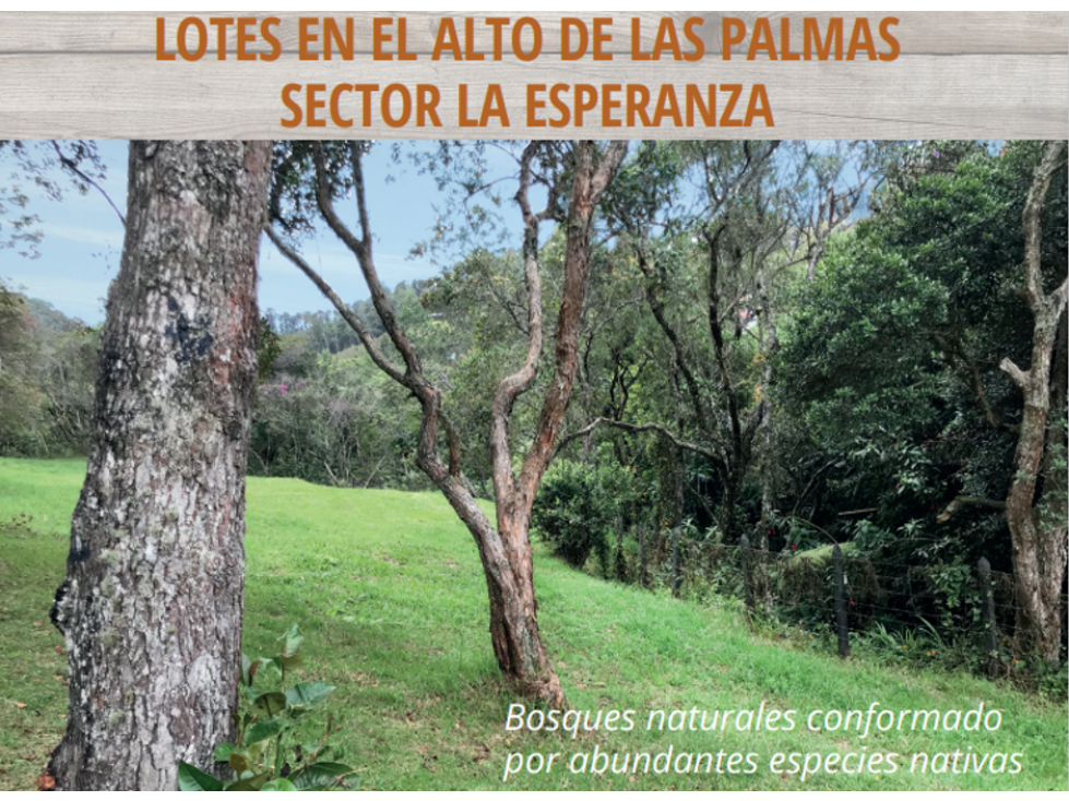 VENTA DE LOTE ENVIGADO-ALTO DE PALMAS-SECTOR LA ESPERANZA