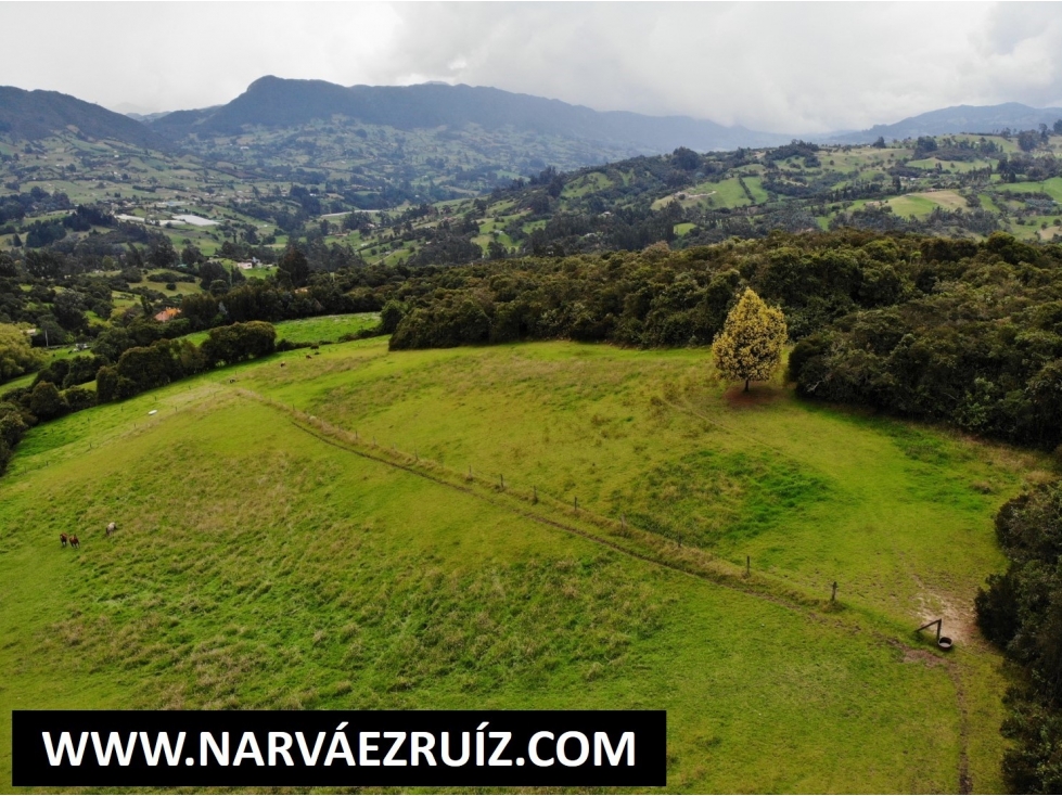 Vendo Finca 5 Hectáreas en Tabio Rio Frio Oriental