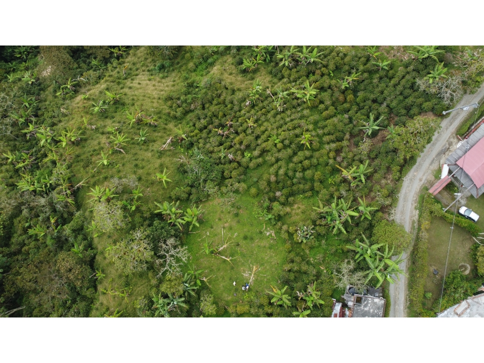 Venta de finca cafetera en Santa Bárbara - Antioquia