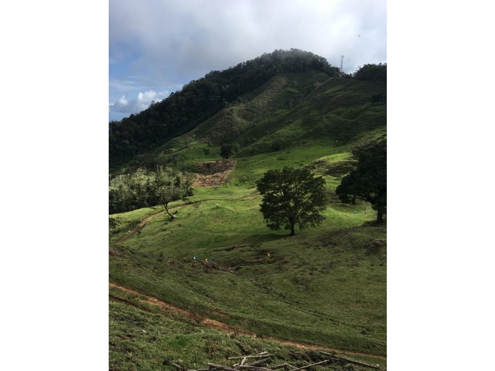 Se vende Finca La Argelia Valle