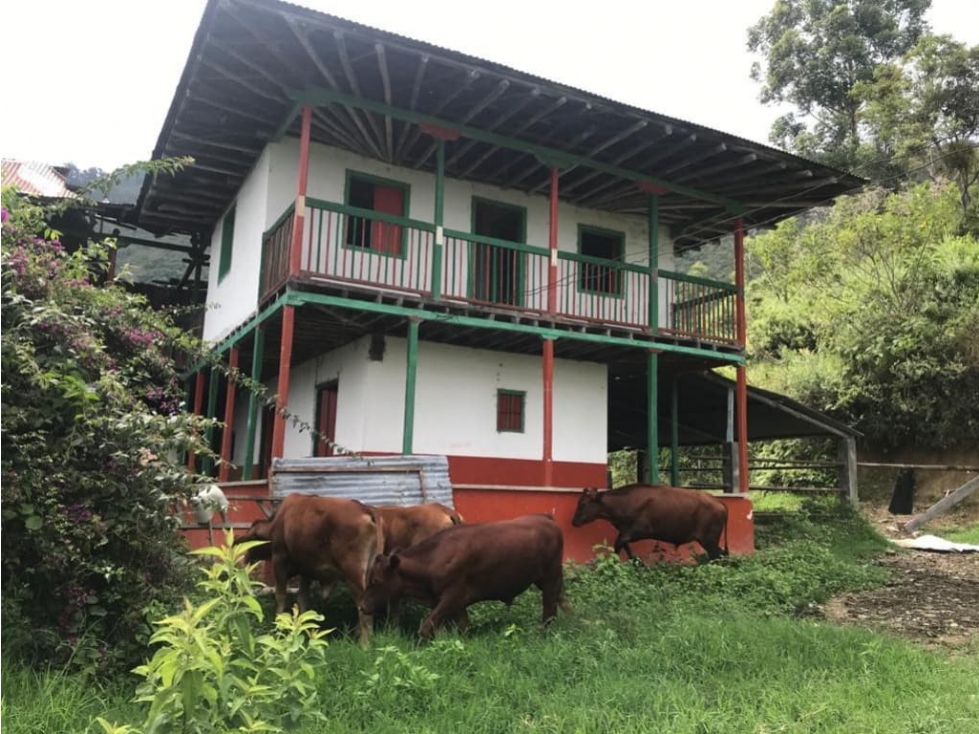 Se vende Finca Pijao Quindío