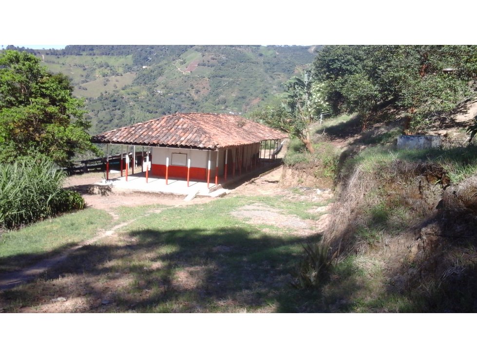 Se vende Finca Ansermanuevo Valle