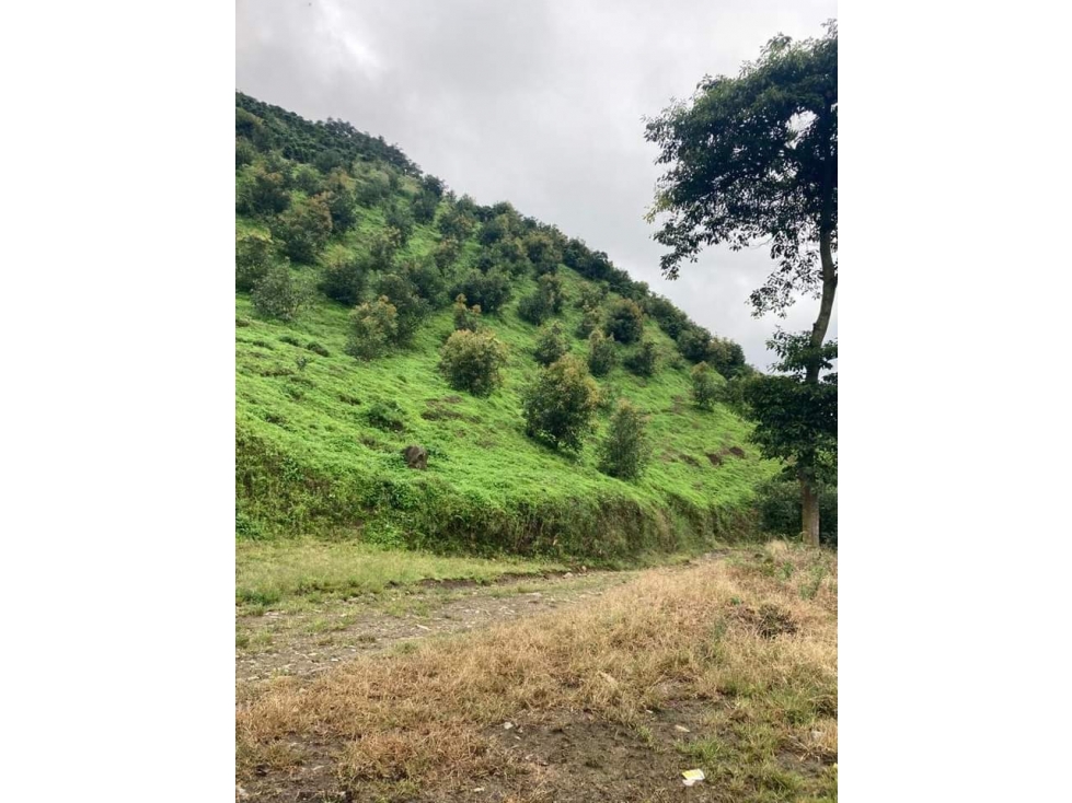 Se vende Finca Río verde Quindío