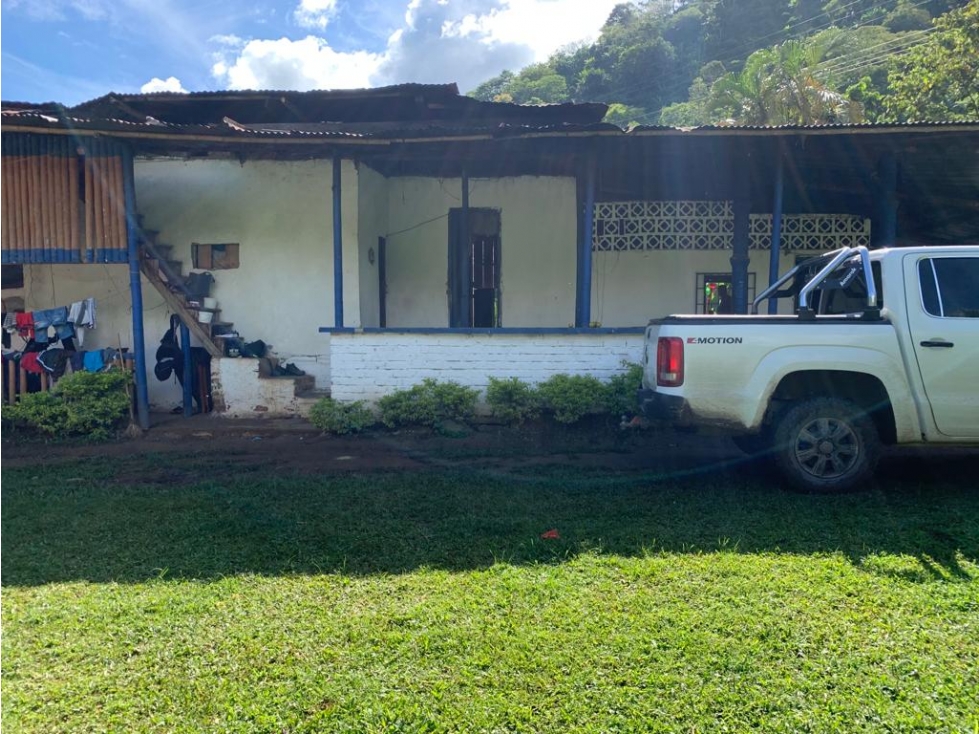 Se vende Finca Caicedonia Valle del Cauca