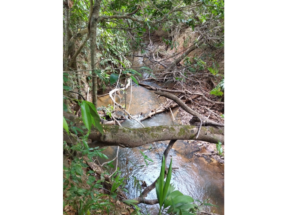 Se vende Finca en El Meta Colombia