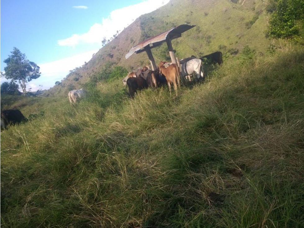 Se vende Finca en San Pedro Valle