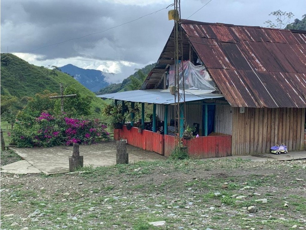 Se vende Finca Pueblo Rico Risaralda