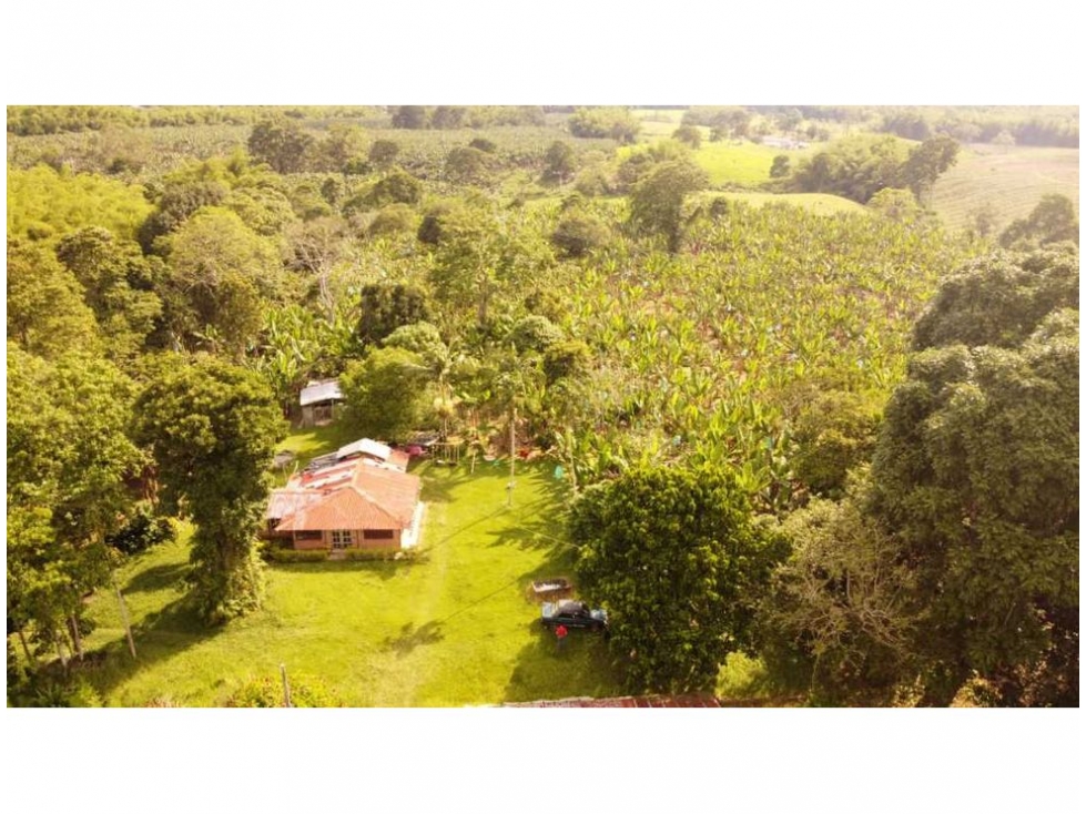 Se vende Finca Armenia - Montenegro Quindío