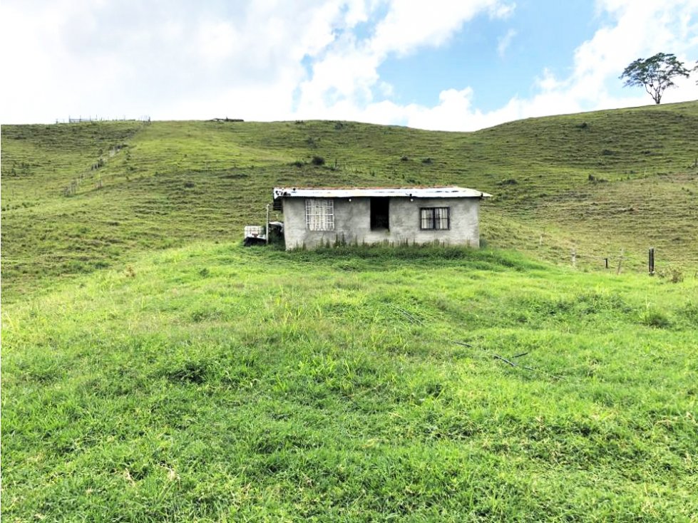 Se vende Finca en Filandia Quindío