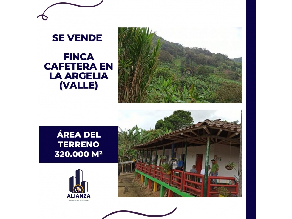 Venta de Finca Cafetera en la Argelia (Valle)