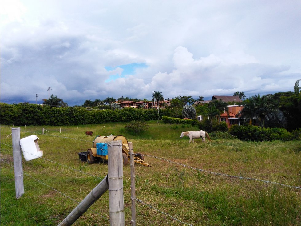 VENDO LOTE EN LA VIA CERRITOS LA VIRGINIA