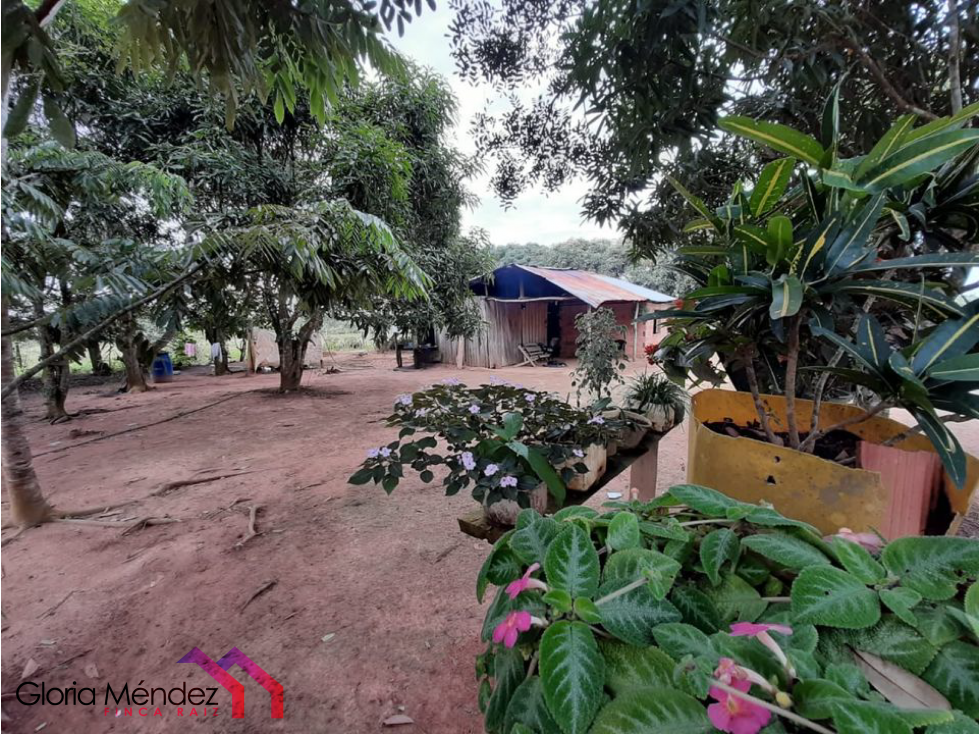 Finca en Puerto Lopez para Venta o Permuta