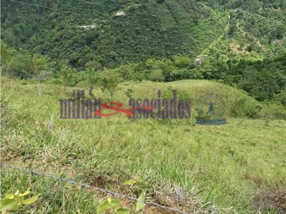 Finca en venta vda guaymaral via Risaralda Cod: 6406867