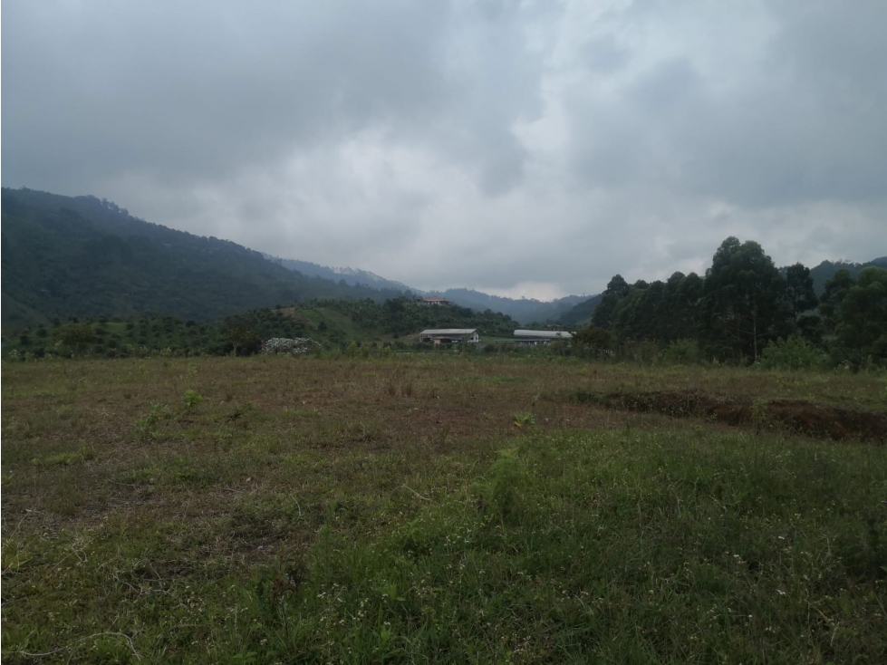 Se Vende Finca En Pereira Vereda San Jose