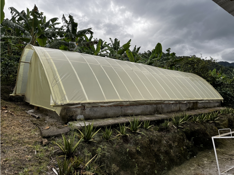 VENTA DE FINCA EN SALENTO, QUINDIO, COLOMBIA