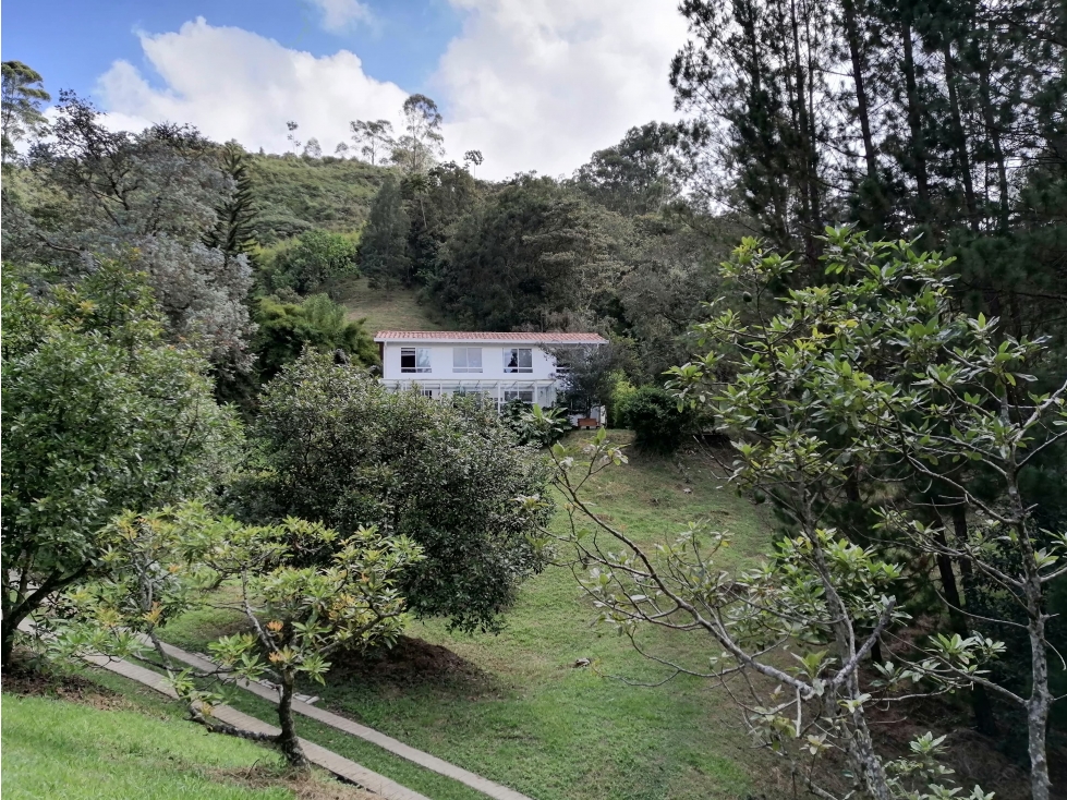 Finca Llanogrande / Retiro el foco de la venta es el Lote