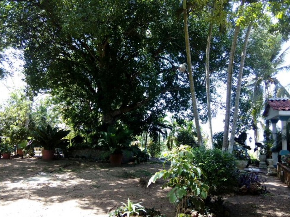 Vendo casa finca en Turbaco Colombia