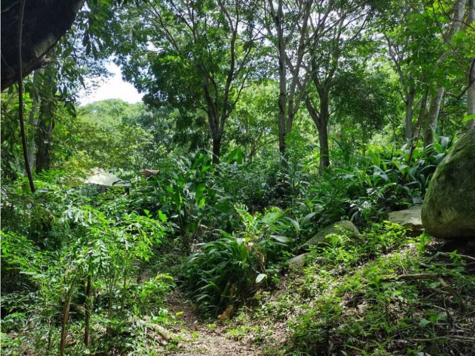 Lindo lote de 5 hectáreas  con quebrada y casa, tigrera, vía a minca