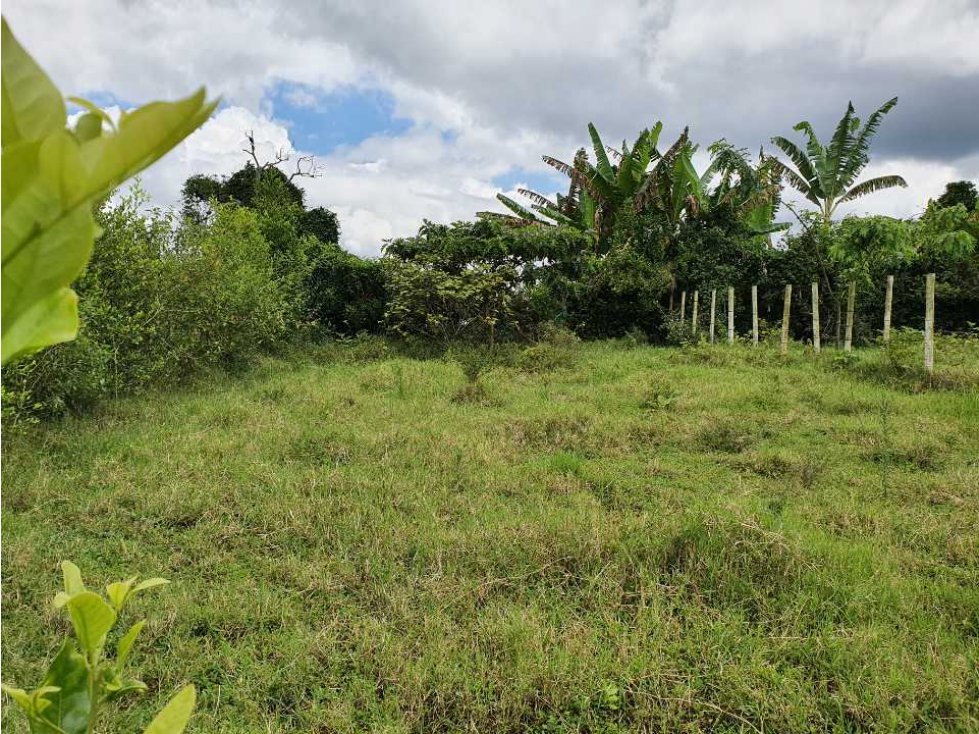 Lote  de terreno área 559 m2 topografía plano en Barcelona Quindío