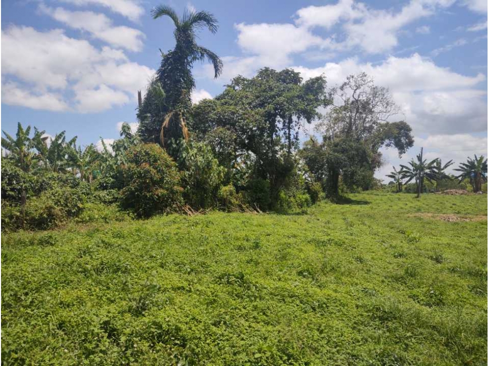 Lote de terreno en Quimbaya