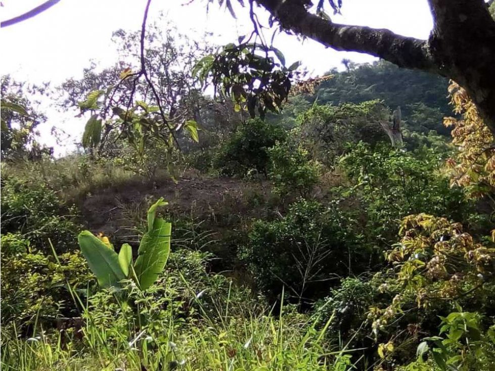 Lote en la vereda Peña Negra