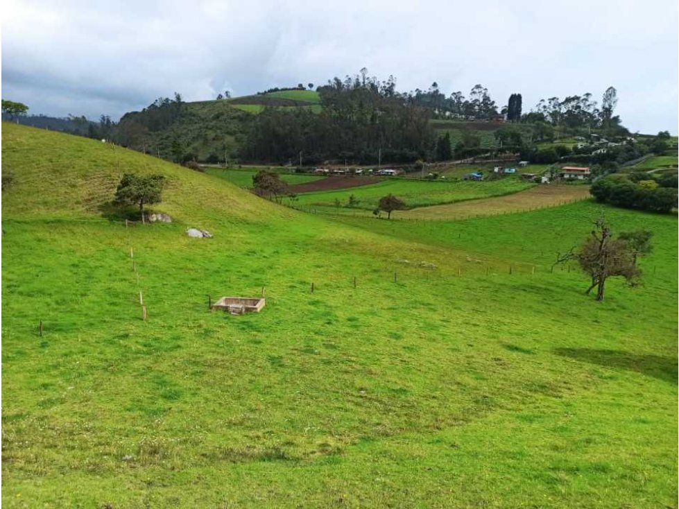 Lotes entre Zipacon y Cartegenita